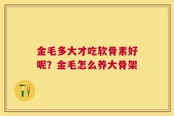 金毛多大才吃软骨素好呢？金毛怎么养大骨架