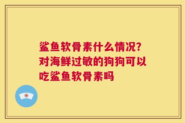 鲨鱼软骨素什么情况？对海鲜过敏的狗狗可以吃鲨鱼软骨素吗