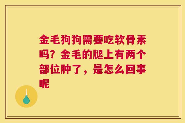 金毛狗狗需要吃软骨素吗？金毛的腿上有两个部位肿了，是怎么回事呢
