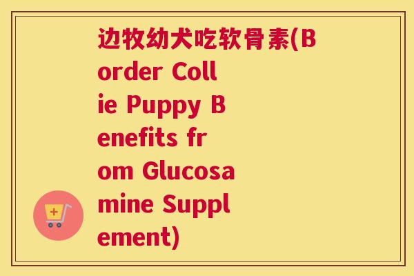 边牧幼犬吃软骨素(Border Collie Puppy Benefits from Glucosamine Supplement)