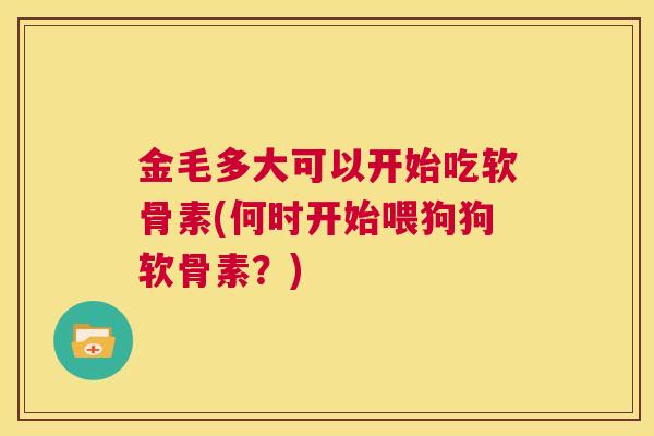 金毛多大可以开始吃软骨素(何时开始喂狗狗软骨素？)