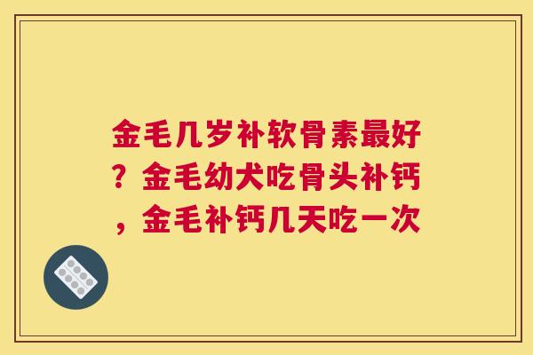 金毛几岁补软骨素最好？金毛幼犬吃骨头补钙，金毛补钙几天吃一次