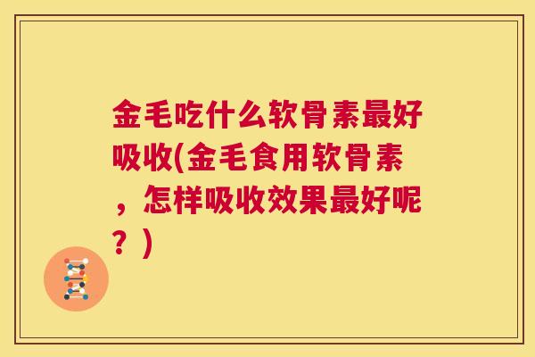 金毛吃什么软骨素最好吸收(金毛食用软骨素，怎样吸收效果最好呢？)