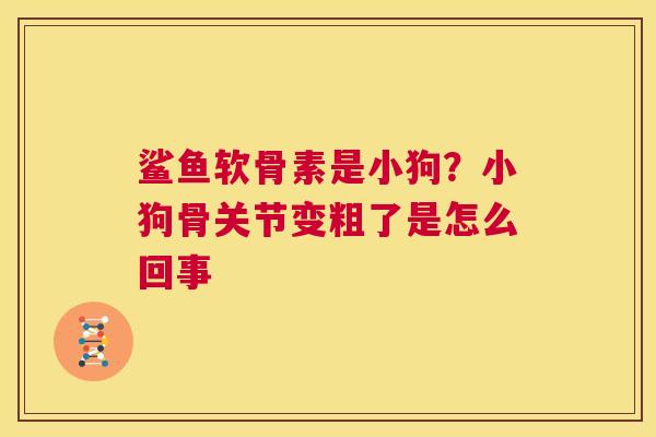 鲨鱼软骨素是小狗？小狗骨关节变粗了是怎么回事