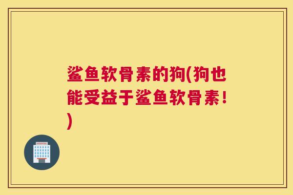 鲨鱼软骨素的狗(狗也能受益于鲨鱼软骨素！)