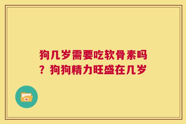 狗几岁需要吃软骨素吗？狗狗精力旺盛在几岁