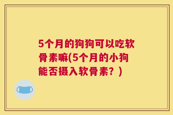 5个月的狗狗可以吃软骨素嘛(5个月的小狗能否摄入软骨素?)