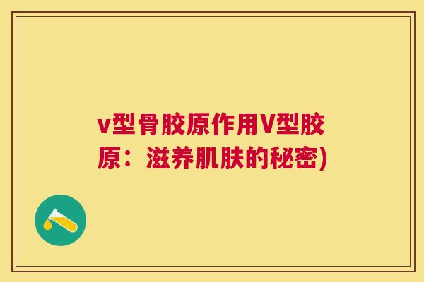 v型骨胶原作用V型胶原：滋养肌肤的秘密)