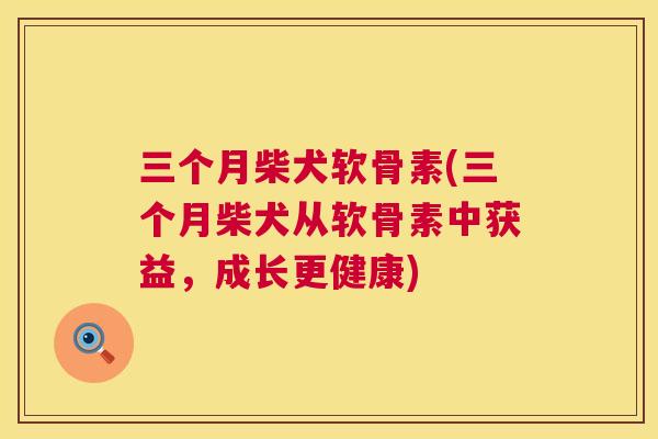 三个月柴犬软骨素(三个月柴犬从软骨素中获益，成长更健康)