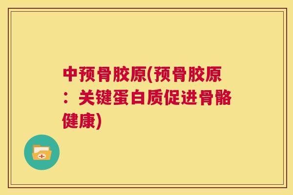中预骨胶原(预骨胶原：关键蛋白质促进骨骼健康)