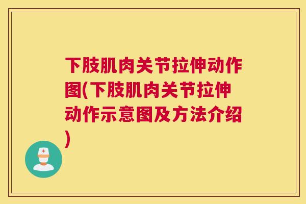 下肢肌肉关节拉伸动作图(下肢肌肉关节拉伸动作示意图及方法介绍)