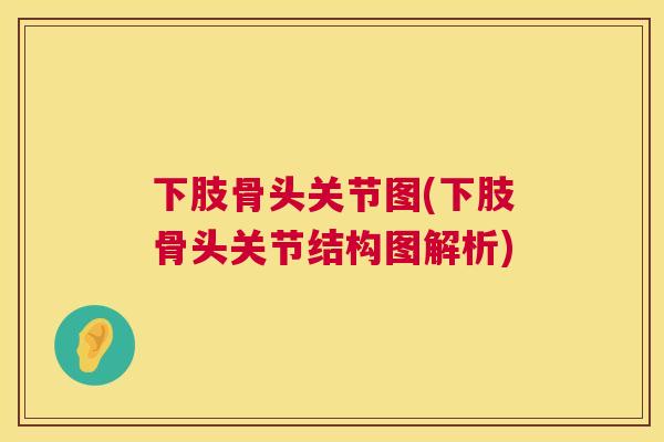 下肢骨头关节图(下肢骨头关节结构图解析)