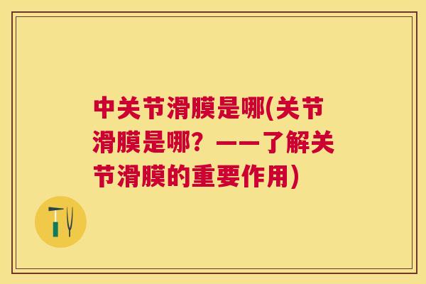 中关节滑膜是哪(关节滑膜是哪？——了解关节滑膜的重要作用)