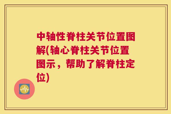 中轴性脊柱关节位置图解(轴心脊柱关节位置图示，帮助了解脊柱定位)