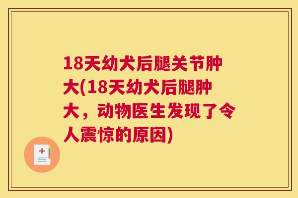 18天幼犬后腿关节肿大(18天幼犬后腿肿大，动物医生发现了令人震惊的原因)