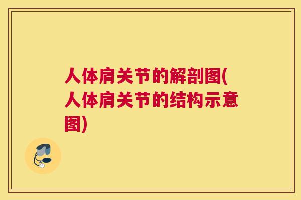 人体肩关节的解剖图(人体肩关节的结构示意图)