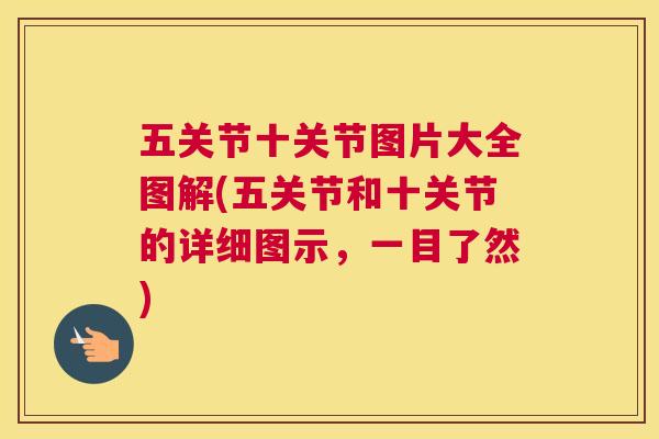 五关节十关节图片大全图解(五关节和十关节的详细图示，一目了然)