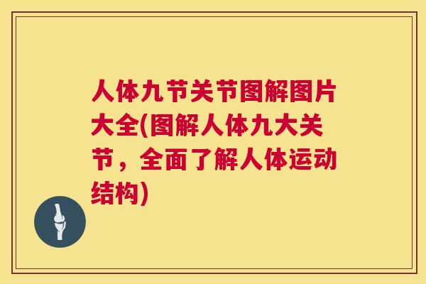 人体九节关节图解图片大全(图解人体九大关节，全面了解人体运动结构)