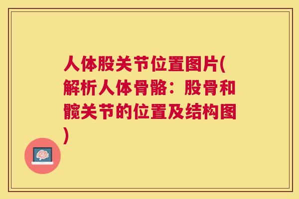 人体股关节位置图片(解析人体骨骼：股骨和髋关节的位置及结构图)