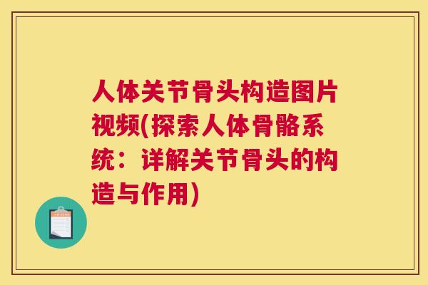人体关节骨头构造图片视频(探索人体骨骼系统：详解关节骨头的构造与作用)