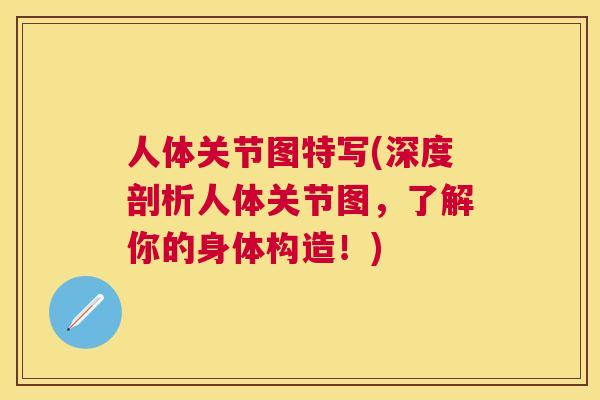 人体关节图特写(深度剖析人体关节图，了解你的身体构造！)