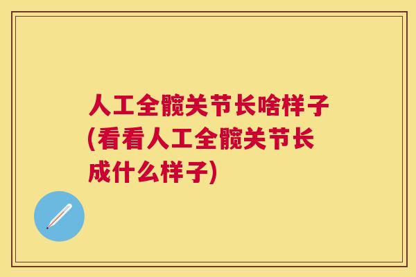 人工全髋关节长啥样子(看看人工全髋关节长成什么样子)