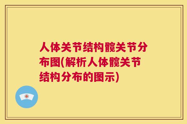 人体关节结构髋关节分布图(解析人体髋关节结构分布的图示)