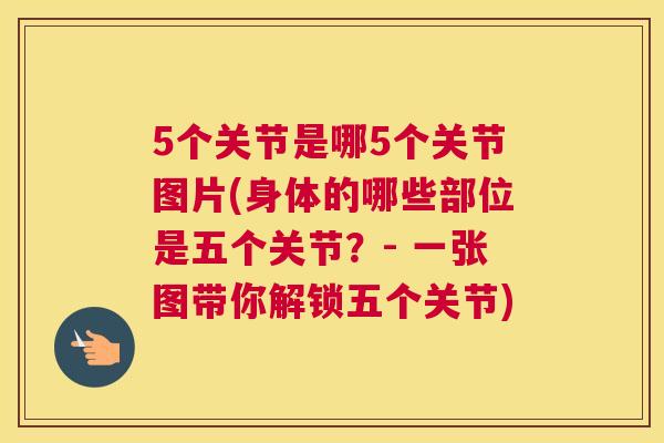 5个关节是哪5个关节图片(身体的哪些部位是五个关节？- 一张图带你解锁五个关节)