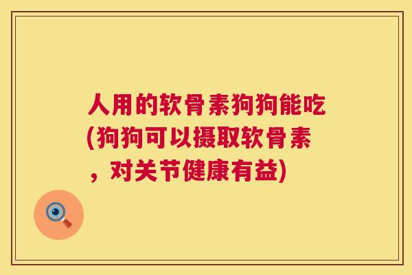 人用的软骨素狗狗能吃(狗狗可以摄取软骨素，对关节健康有益)