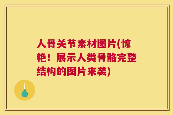 人骨关节素材图片(惊艳！展示人类骨骼完整结构的图片来袭)