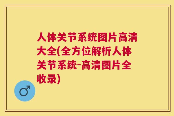 人体关节系统图片高清大全(全方位解析人体关节系统-高清图片全收录)