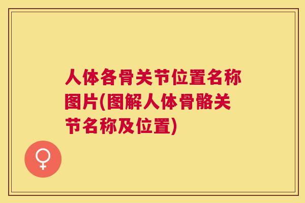 人体各骨关节位置名称图片(图解人体骨骼关节名称及位置)
