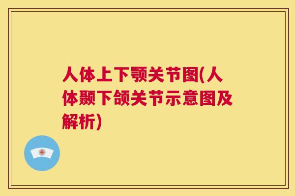 人体上下颚关节图(人体颞下颌关节示意图及解析)