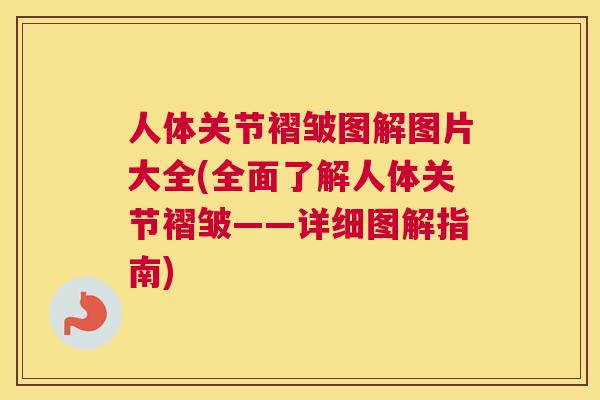 人体关节褶皱图解图片大全(全面了解人体关节褶皱——详细图解指南)