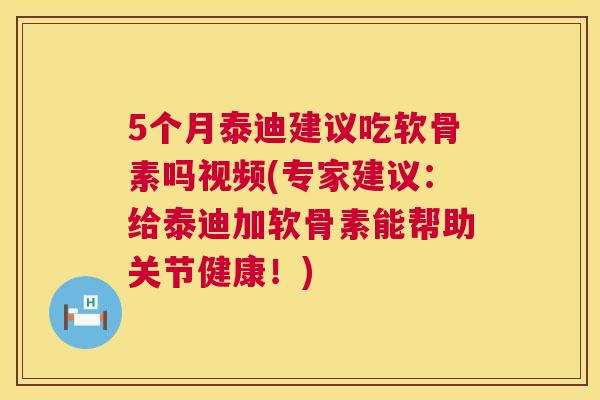 5个月泰迪建议吃软骨素吗视频(专家建议：给泰迪加软骨素能帮助关节健康！)