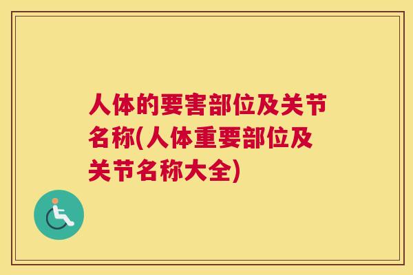 人体的要害部位及关节名称(人体重要部位及关节名称大全)