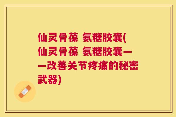 仙灵骨葆 氨糖胶囊(仙灵骨葆 氨糖胶囊——改善关节疼痛的秘密武器)