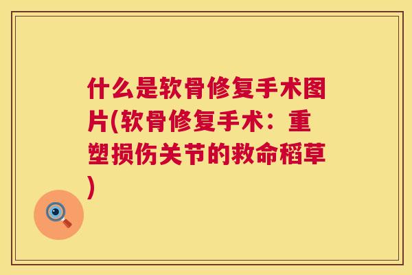 什么是软骨修复手术图片(软骨修复手术：重塑损伤关节的救命稻草)