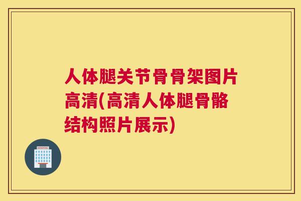 人体腿关节骨骨架图片高清(高清人体腿骨骼结构照片展示)