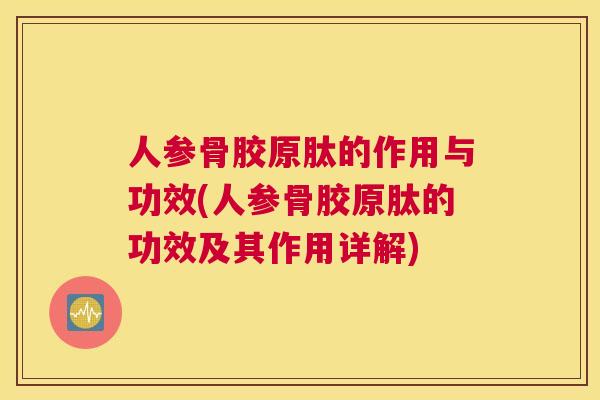 人参骨胶原肽的作用与功效(人参骨胶原肽的功效及其作用详解)