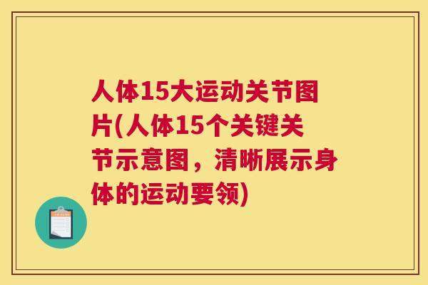 人体15大运动关节图片(人体15个关键关节示意图，清晰展示身体的运动要领)