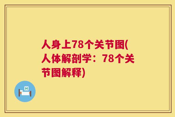 人身上78个关节图(人体解剖学：78个关节图解释)