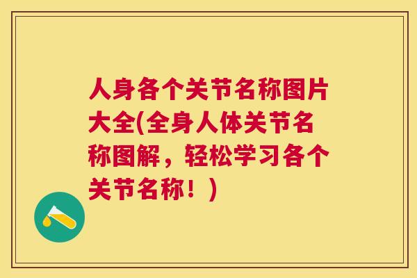 人身各个关节名称图片大全(全身人体关节名称图解，轻松学习各个关节名称！)
