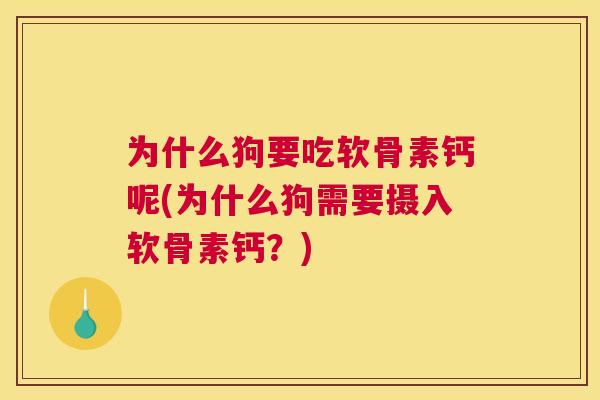 为什么狗要吃软骨素钙呢(为什么狗需要摄入软骨素钙？)