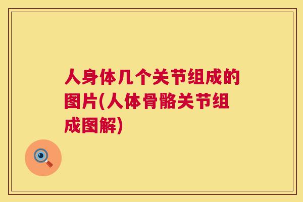 人身体几个关节组成的图片(人体骨骼关节组成图解)