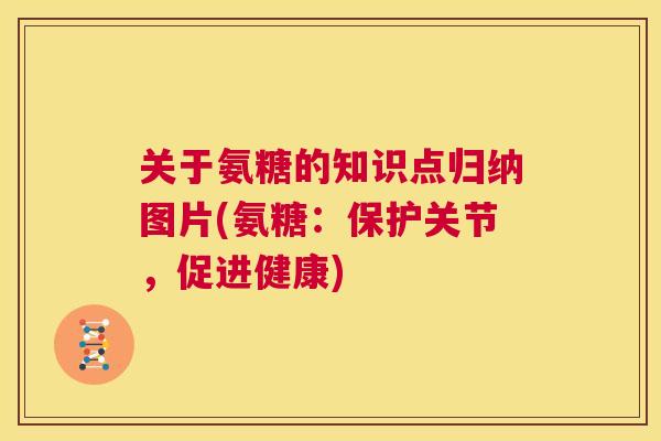关于氨糖的知识点归纳图片(氨糖：保护关节，促进健康)