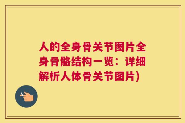 人的全身骨关节图片全身骨骼结构一览：详细解析人体骨关节图片)