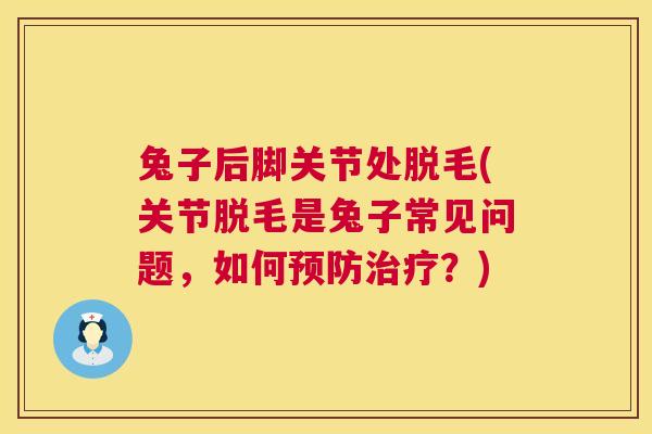 兔子后脚关节处脱毛(关节脱毛是兔子常见问题，如何？)
