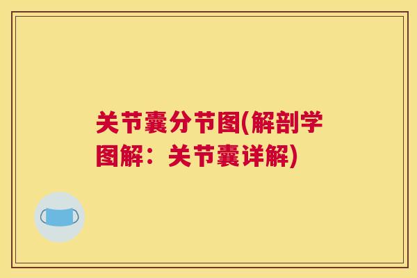 关节囊分节图(解剖学图解：关节囊详解)