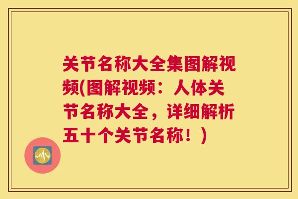 关节名称大全集图解视频(图解视频：人体关节名称大全，详细解析五十个关节名称！)